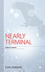 Nearly Terminal Cover small
